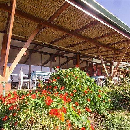 Chayote Lodge Naranjo  Exterior photo