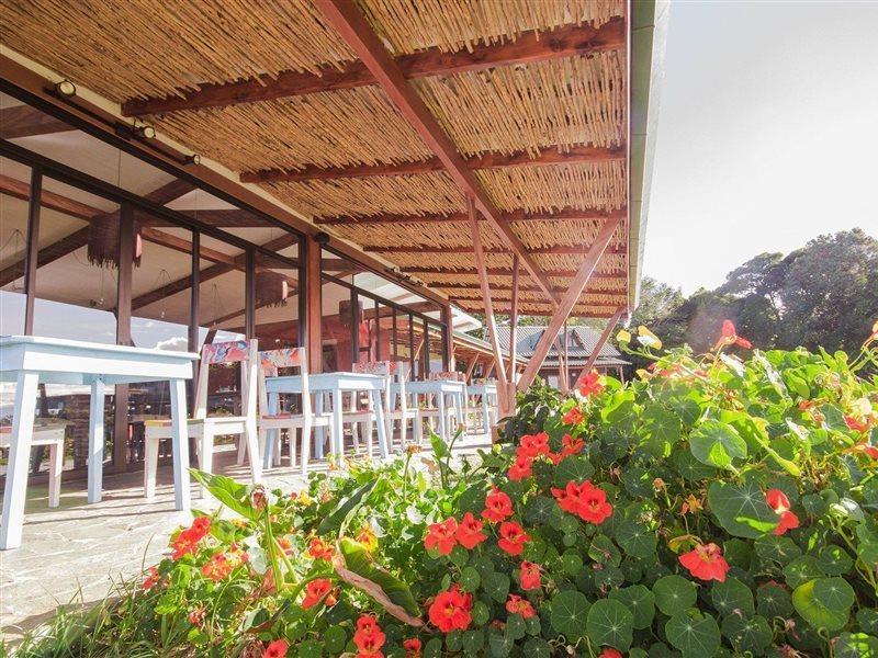 Chayote Lodge Naranjo  Exterior photo