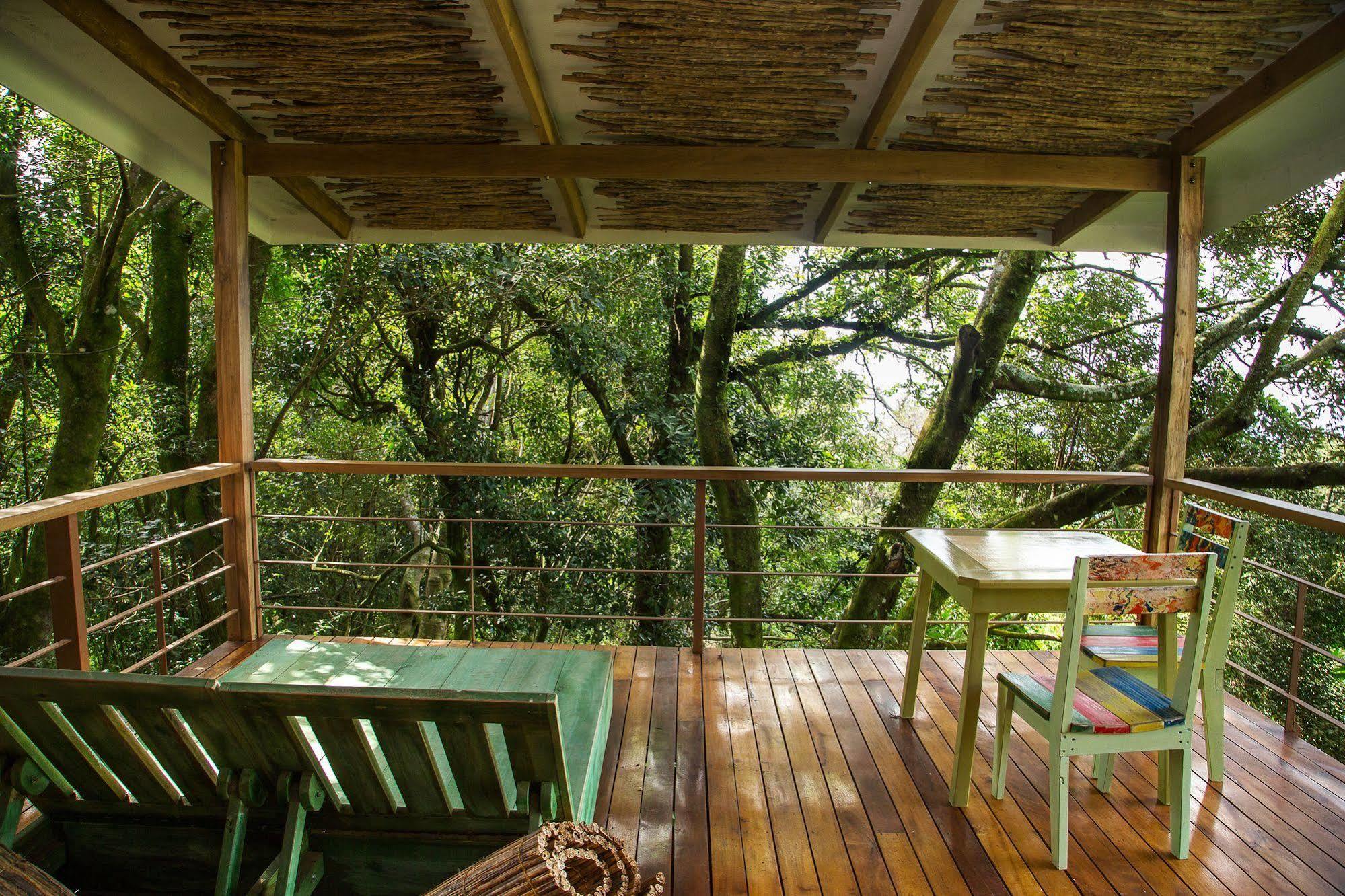 Chayote Lodge Naranjo  Exterior photo